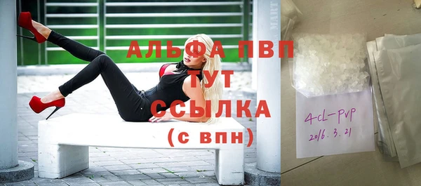 ГАЛЛЮЦИНОГЕННЫЕ ГРИБЫ Горно-Алтайск