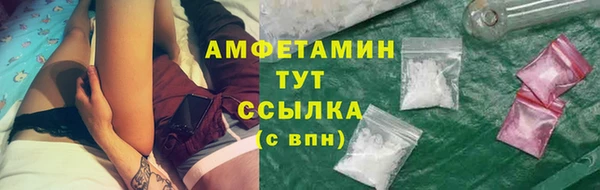молекула духа Горнозаводск