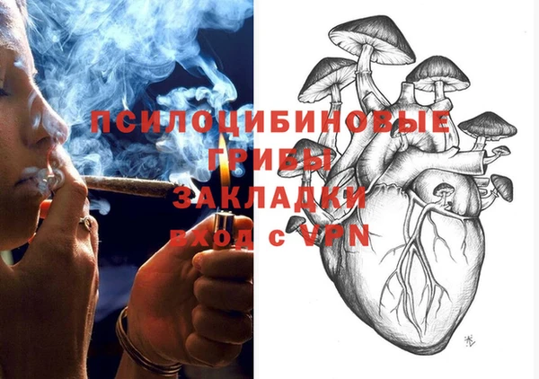 прущая мука Вяземский