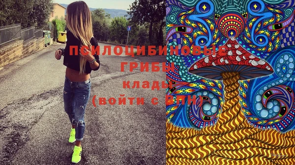 первитин Вязьма