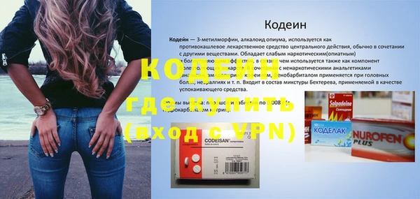прущая мука Вяземский