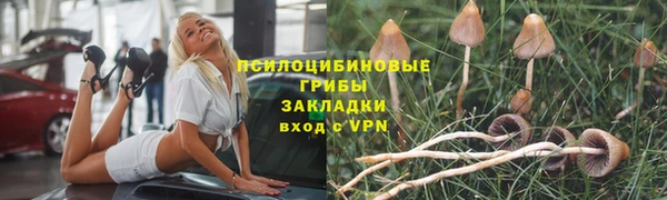 первитин Вязьма