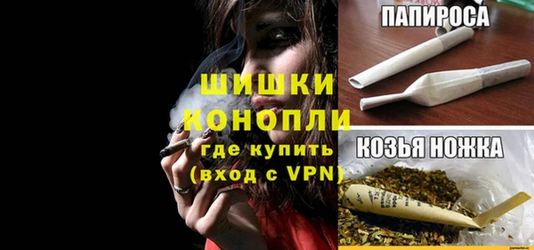 прущая мука Вяземский